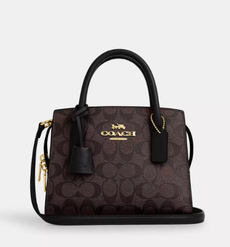 图片  Coach 手提包