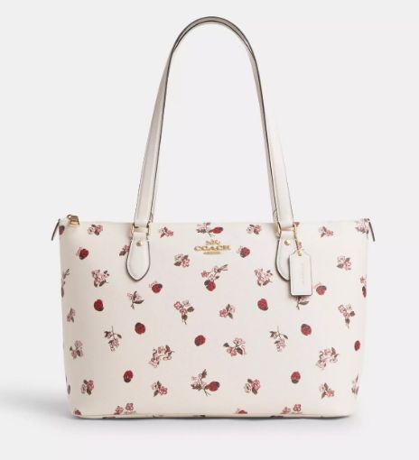 图片  Coach  托特包 