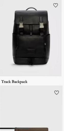 图片  COACH 蔻驰 背包  track backpack