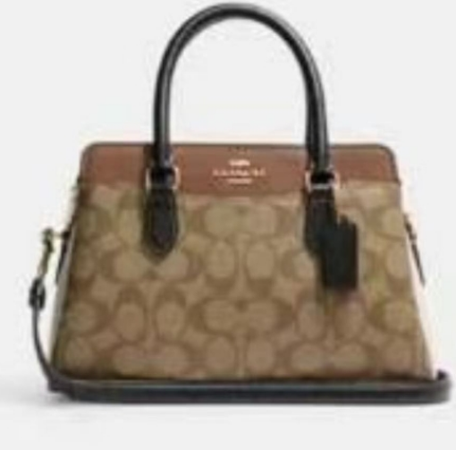 图片  Coach 戴妃包